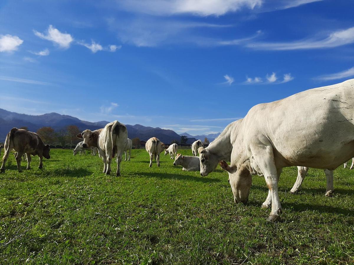 Agriturismo Fior Di Campo Dronero Εξωτερικό φωτογραφία
