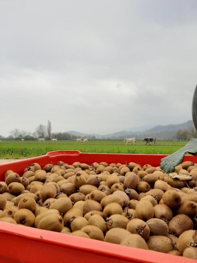 Agriturismo Fior Di Campo Dronero Εξωτερικό φωτογραφία