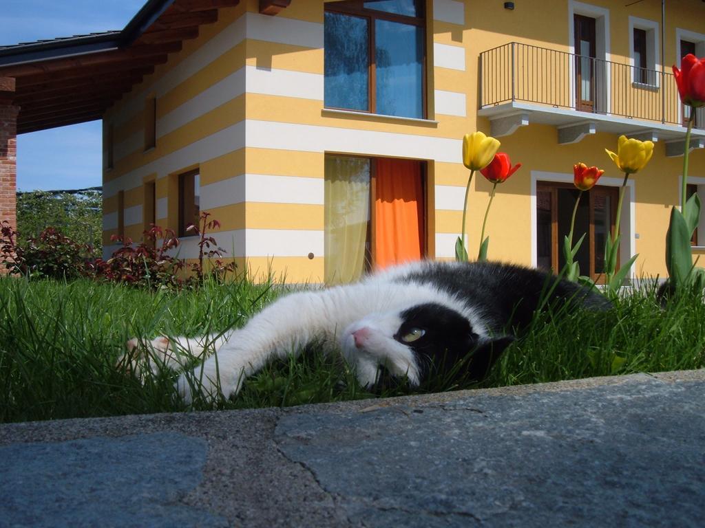 Agriturismo Fior Di Campo Dronero Εξωτερικό φωτογραφία